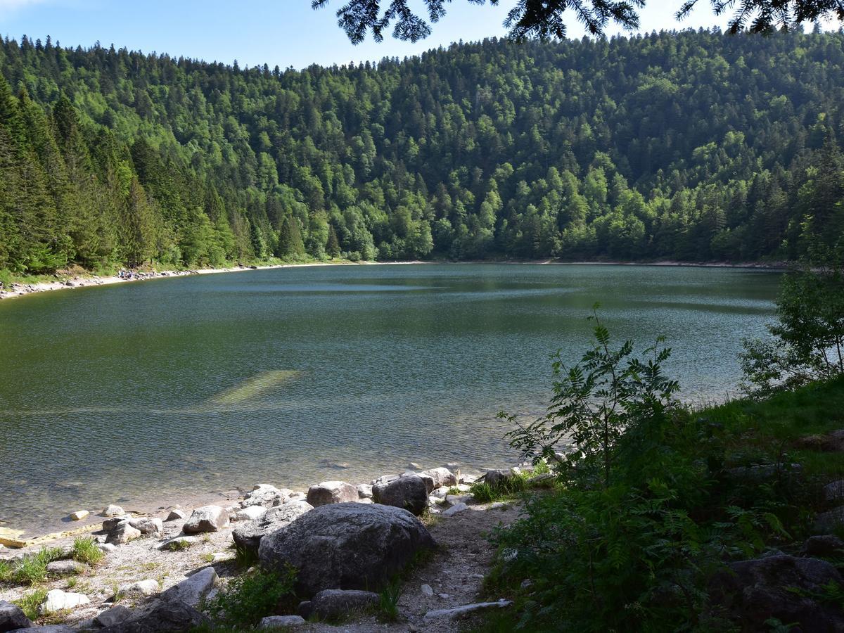 Quaint Chalet In La Bresse With Sauna Villa ภายนอก รูปภาพ